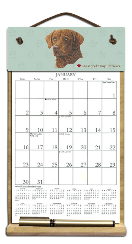 chesapeake-bay-retriever-small-calendar-b-19-95-kims-calendars-made-in-the-usa-since-1988